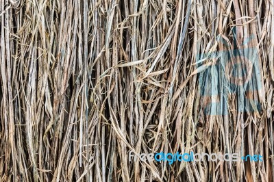 Pile Of Dry Straw Stock Photo