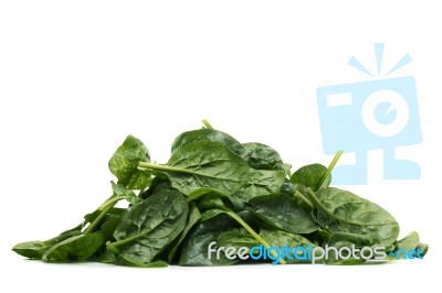 Pile Of Fresh Spinach, Isolated On A White Background Stock Photo