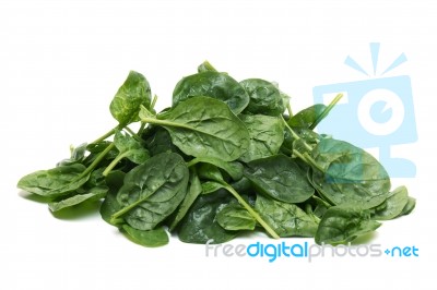 Pile Of Fresh Spinach, Isolated On A White Background Stock Photo