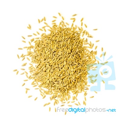 Pile Of Paddy Rice And Rice Seed On The White Background For Isolated Stock Photo