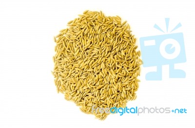 Pile Of Paddy Rice And Rice Seed On The White Background For Isolated Stock Photo