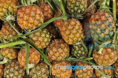 Pile Of Pineapple Stock Photo