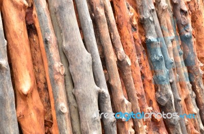 Pile Of Wood Logs Stock Photo