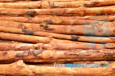 Pile Of Wood Logs Stock Photo