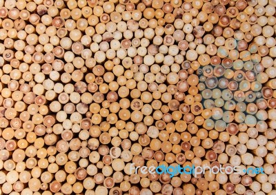 Pile Of Wood Logs Stock Photo