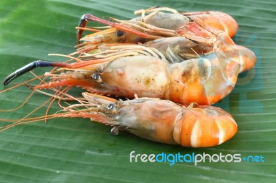 Pile Row Of Shrimp Grilled On Banana Leaf Stock Photo