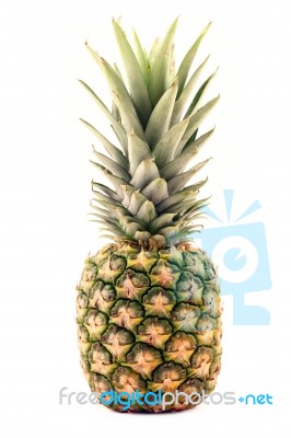 Pineapple Stock Photo