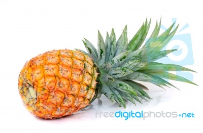 Pineapple Stock Photo