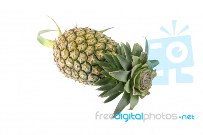 Pineapple Head Leaf Cut On White Background Stock Photo