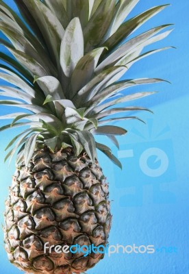 Pineapple On Blue Background Stock Photo