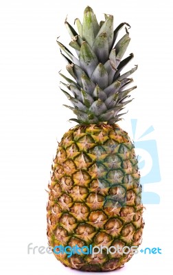 Pineapple On White Stock Photo