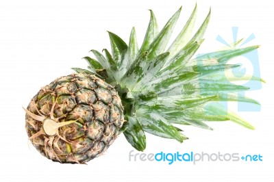 Pineapple On White Background With Clipping Path Stock Photo