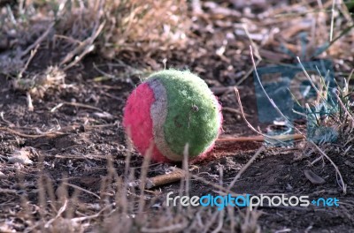 Pink And Green Tennis Ball Stock Photo