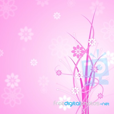 Pink Background Shows Florals Floral And Flowers Stock Image