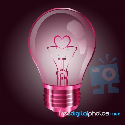 Pink Bulb Stock Image