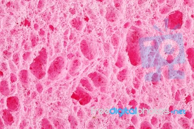 Pink Color Sponge Stock Photo