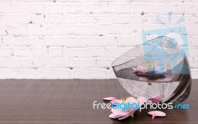 Pink Flower Blossoms In Glass Vase With Clear Water Stock Image