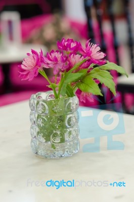 Pink Flowers In A Vase Stock Photo