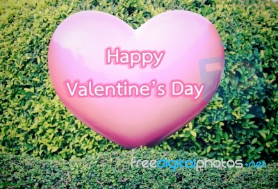 Pink Heart On Green Hedge Valentines Concept Stock Photo