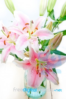 Pink Lily Flower Bouquet Stock Photo