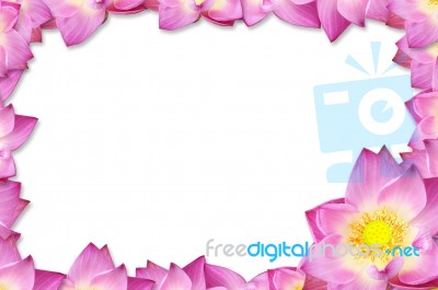 Pink Lotus Frame Background Stock Photo