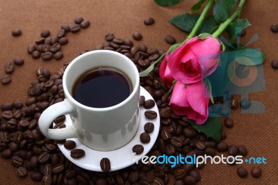 Pink Rose And Coffee Cup Stock Photo