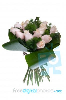 Pink Roses Bouquet Stock Photo