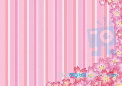 Pink Sakura Background Stock Image