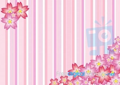 Pink Sakura Background Stock Image