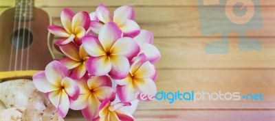 Pink Yellow And White Flowers Bunch Plumeria Or Frangipani In Va… Stock Photo