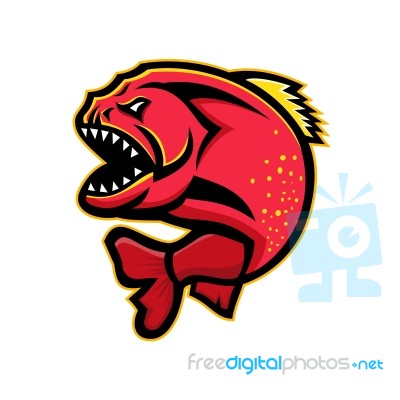 Piranha Sports Mascot Stock Image