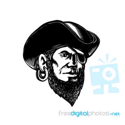 Pirate Wearing Eye Patch Scratchboard Stock Image