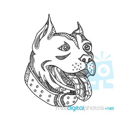 Pit Bull Head Doodle Art Stock Image