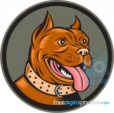 Pitbull Dog Mongrel Head Circle Woodcut Stock Image