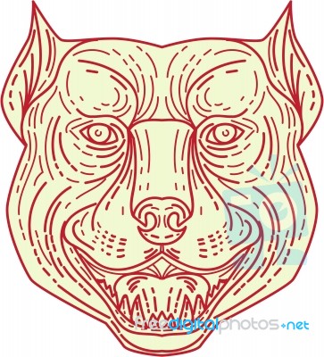 Pitbull Dog Mongrel Head Mono Line Stock Image