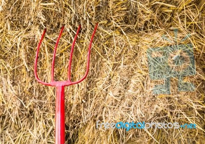 Pitchfork Stock Photo