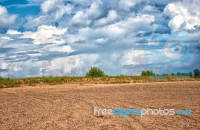 Plain Summer Landscape Stock Photo