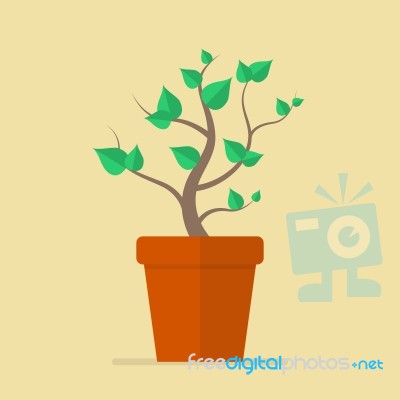 Plant In Pot Flat Icon Stock Image