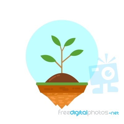 Plant On Island Stock Image