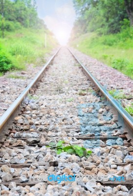 Plant On The Railway Stock Photo