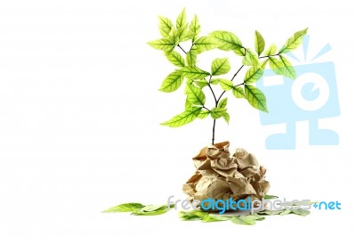 Plant With Recycled Paper Stock Photo