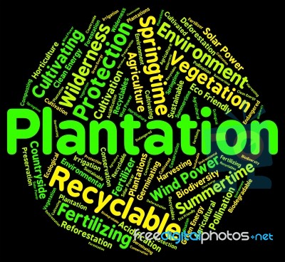 Plantation Word Means Farms Ranches And Farming Stock Image