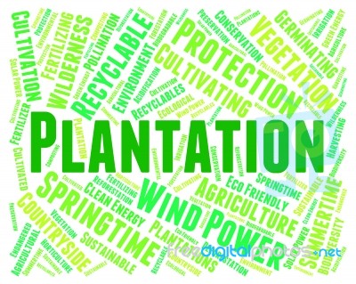 Plantation Word Showing Cultivation Farmland And Agriculture Stock Image