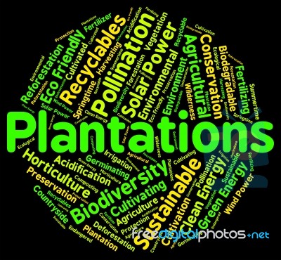 Plantations Word Represents Ranches Farms And Farm Stock Image