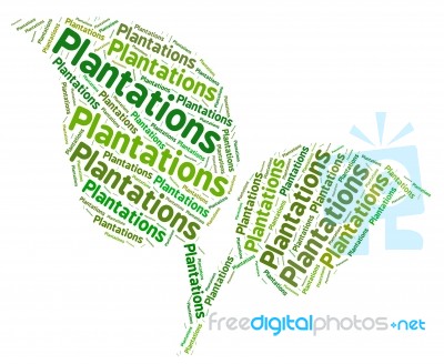 Plantations Word Shows Ranch Estate And Words Stock Image