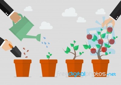 Planting Tree Process Stock Image