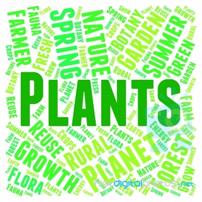 Plants Word Representing Flora Verdure And Foilage Stock Image