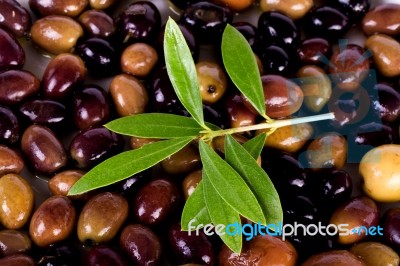 Plate With Olives Stock Photo