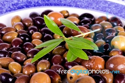 Plate With Olives Stock Photo