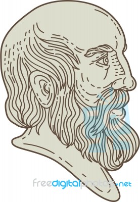 Plato Greek Philosopher Head Mono Line Stock Image